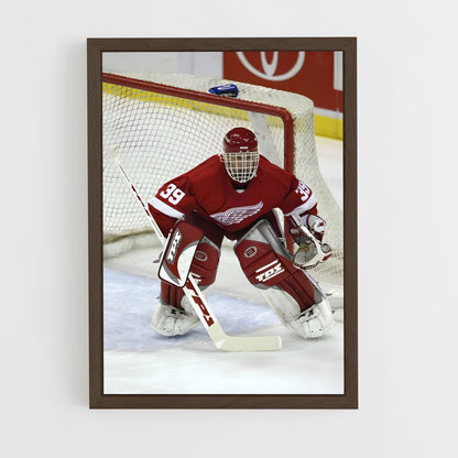 ap-dominik hasek-6 cadre Bois foncé