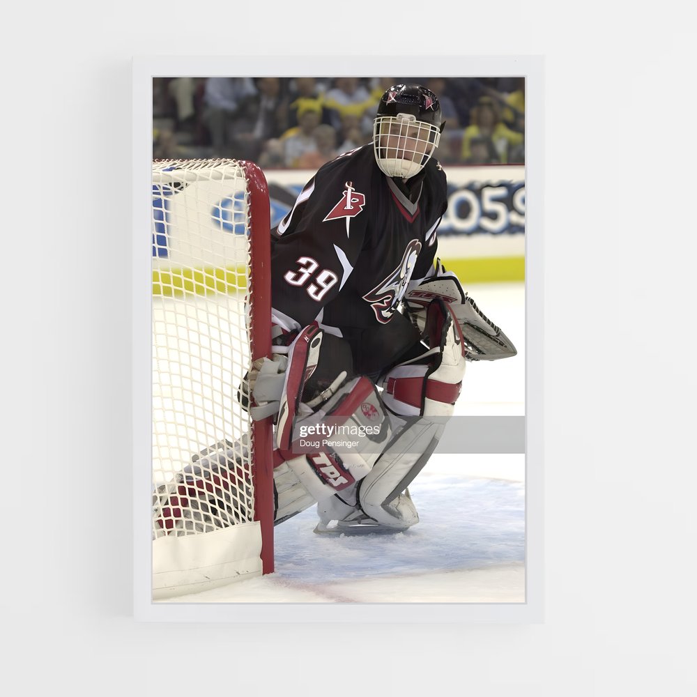 ap-dominik hasek-9 cadre Blanc