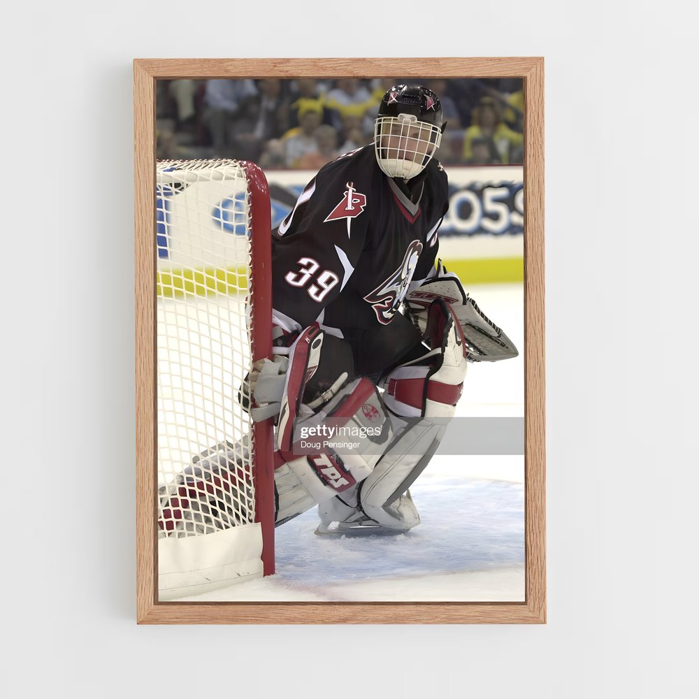 ap-dominik hasek-9 cadre Bois clair