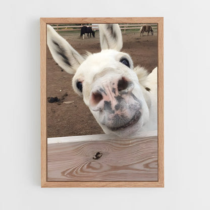 ap-donkey-10 cadre Bois clair