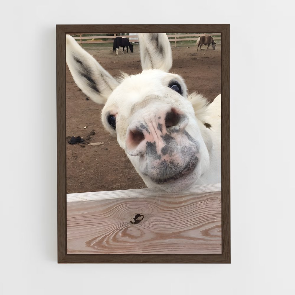 ap-donkey-10 cadre Bois foncé