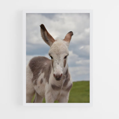 ap-donkey-14 cadre Blanc