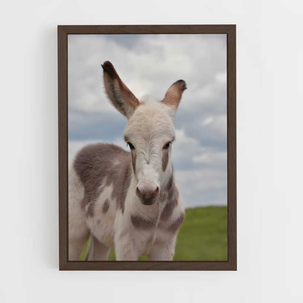 ap-donkey-14 cadre Bois foncé