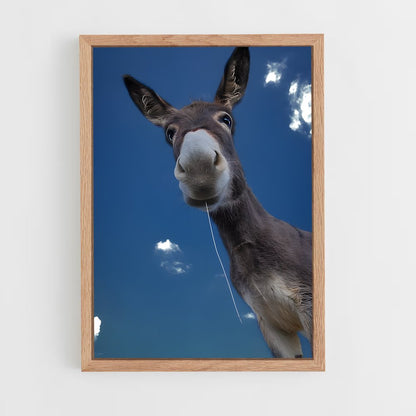 ap-donkey-15 cadre Bois clair
