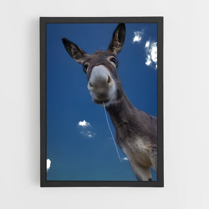 ap-donkey-15 cadre Noir