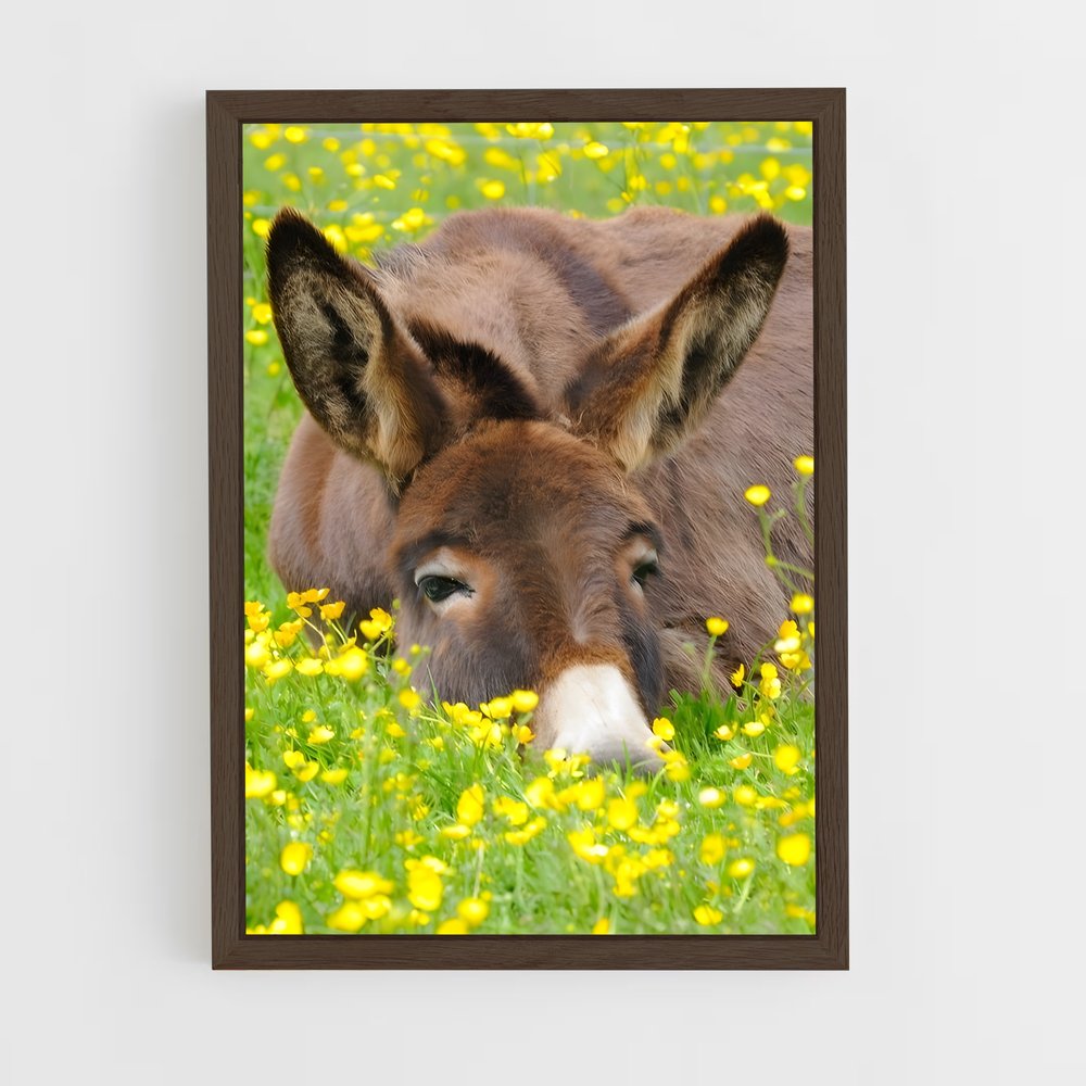 ap-donkey-7 cadre Bois foncé