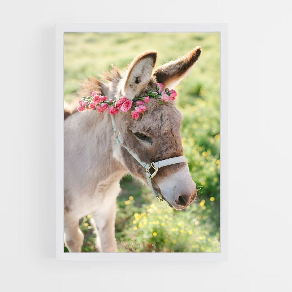 ap-donkey-8 cadre Blanc