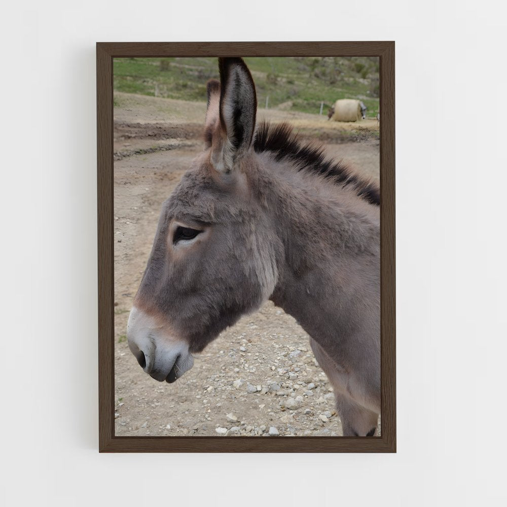 ap-donkey-9 cadre Bois foncé