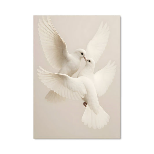 Poster Colombes en Liberté