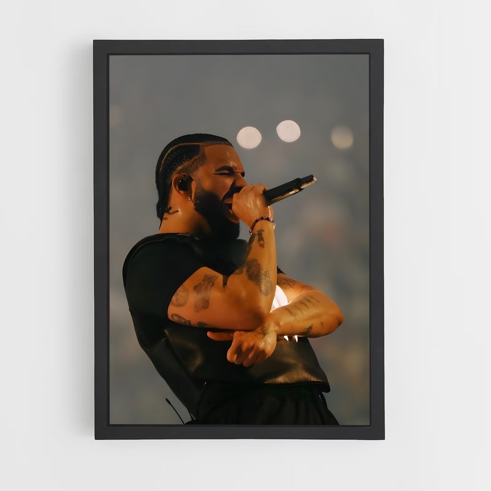 ap-drake pointing-4 cadre Noir