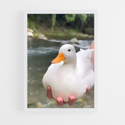 ap-duck-9 cadre Blanc