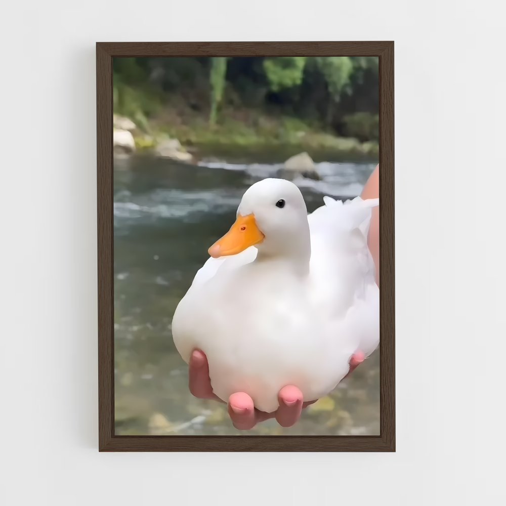 ap-duck-9 cadre Bois foncé
