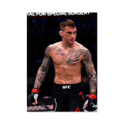 Poster The Diamond Fighter
