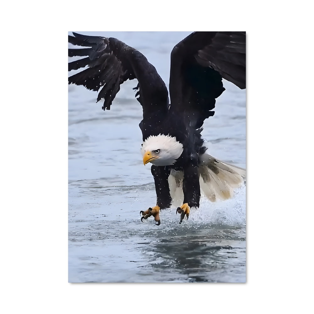 Poster Pouvoir Aérien