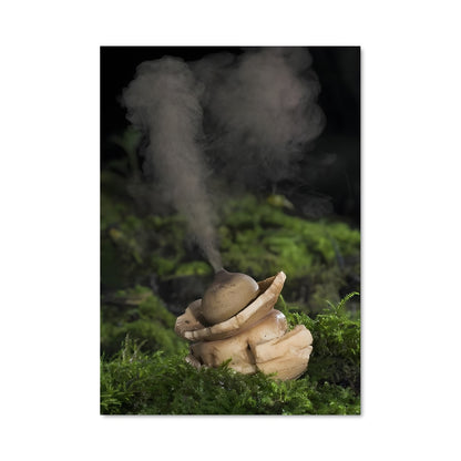 Poster Earthstar 94208