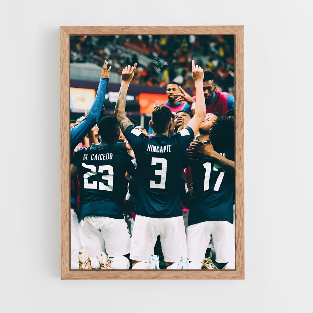 ap-ecuador national football team-4 cadre Bois clair