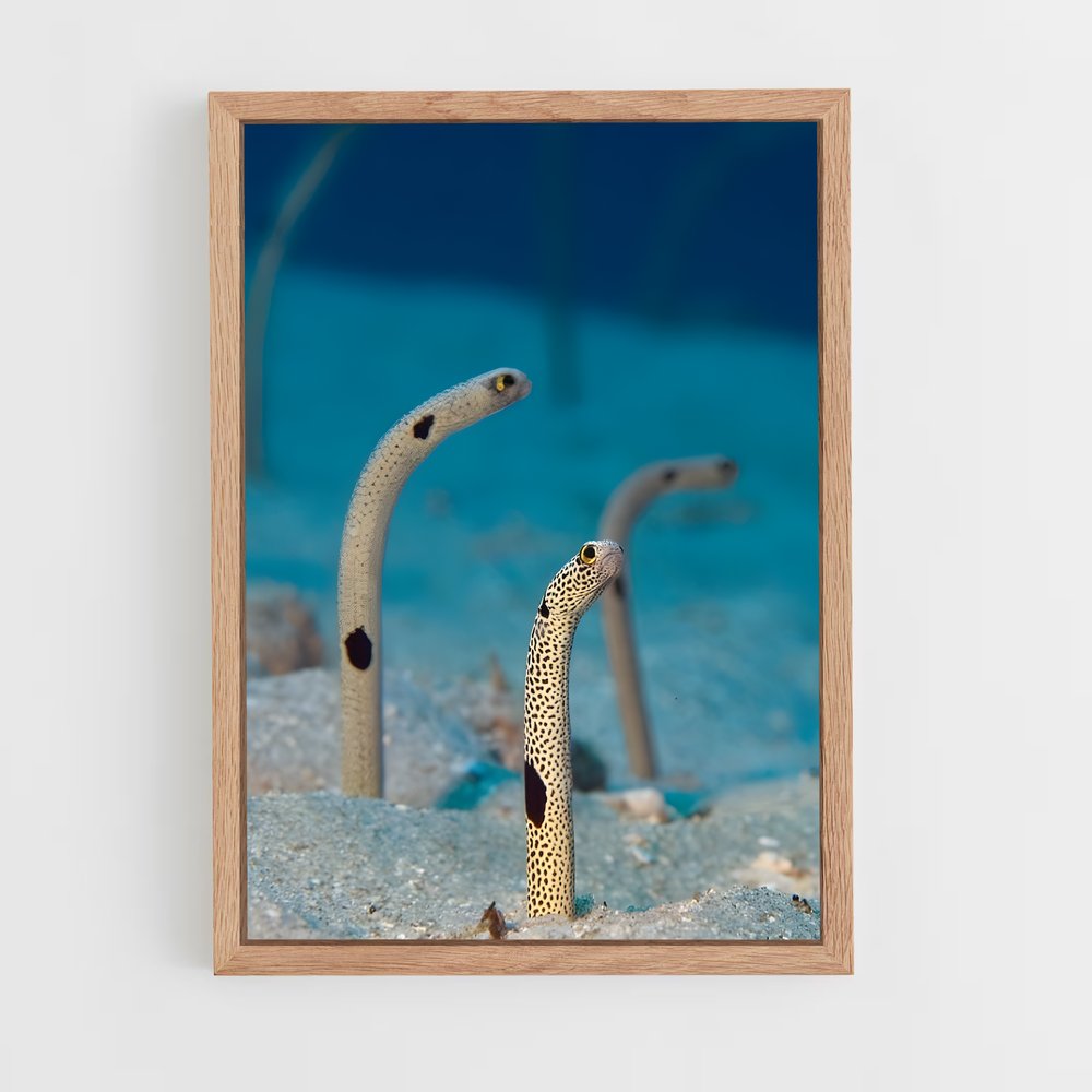 ap-eel-1 cadre Bois clair
