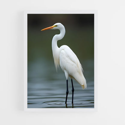 ap-egret-1 cadre Blanc