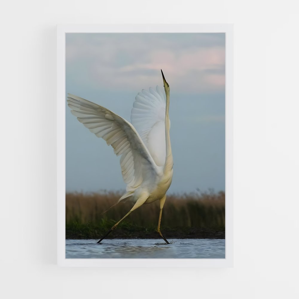 ap-egret-2 cadre Blanc