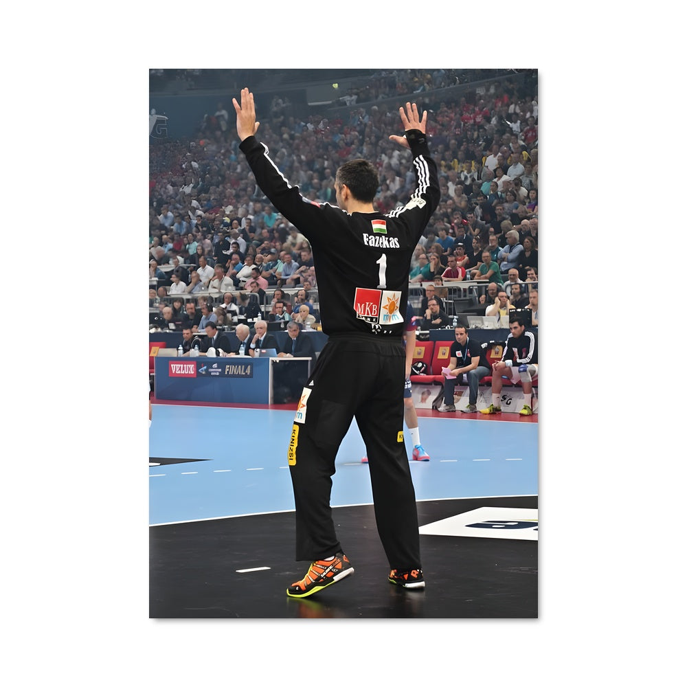Poster Ehf champions league 73843