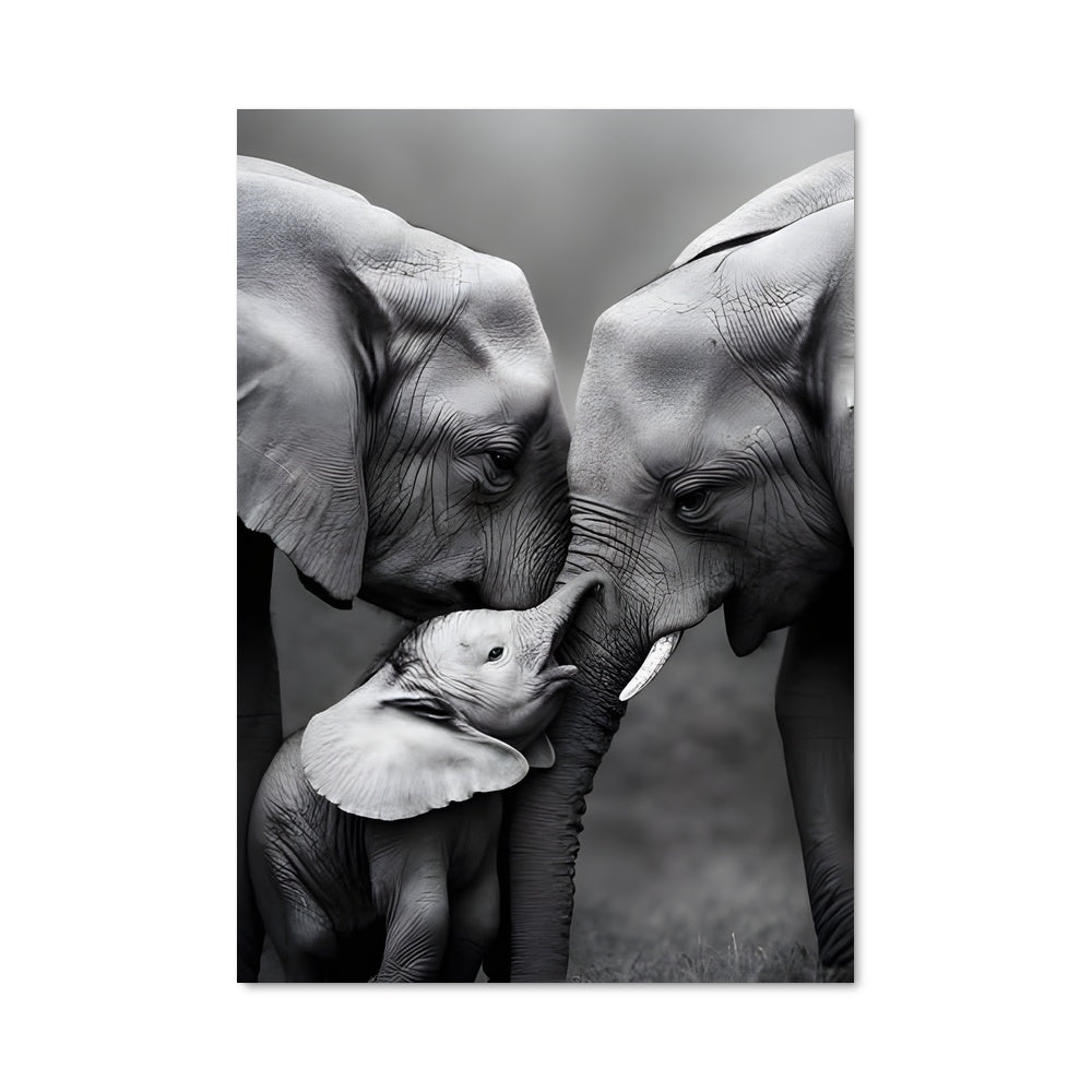 Poster Elephant 83524