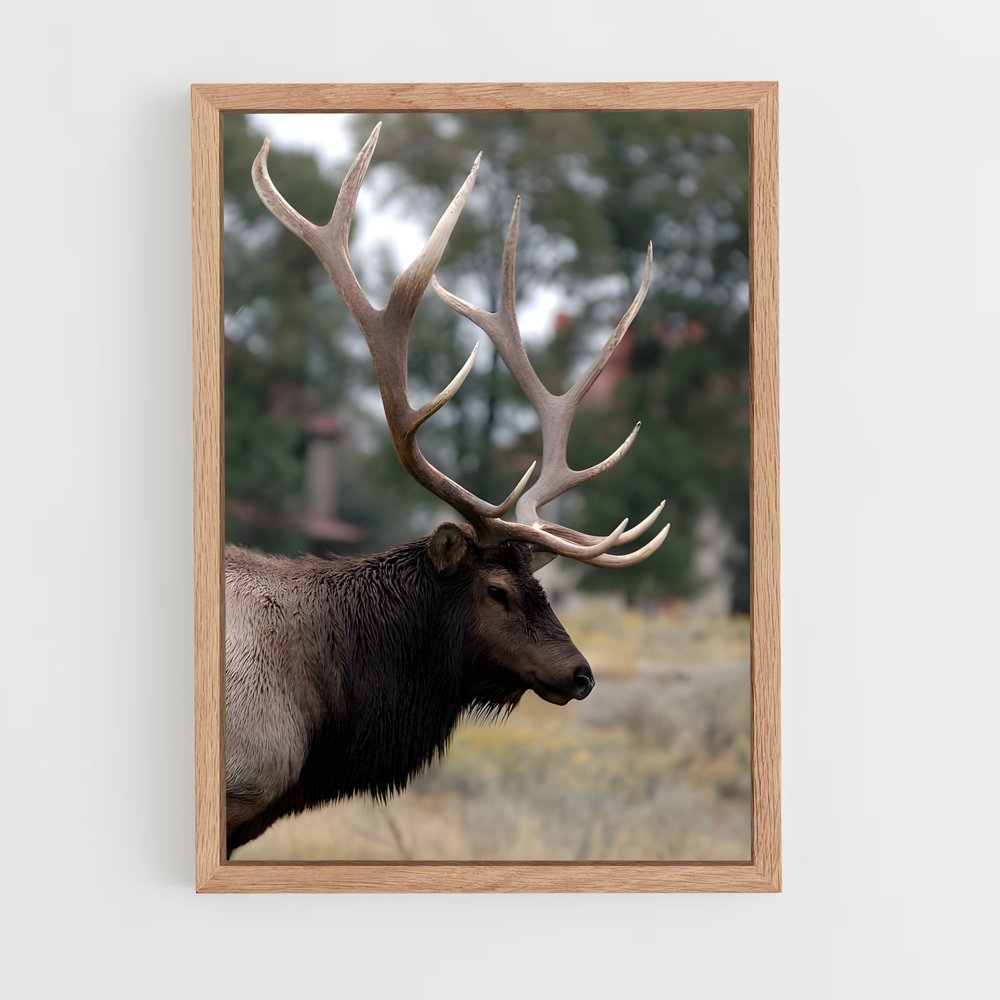 ap-elk-1 cadre Bois clair