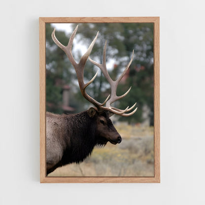 ap-elk-1 cadre Bois clair
