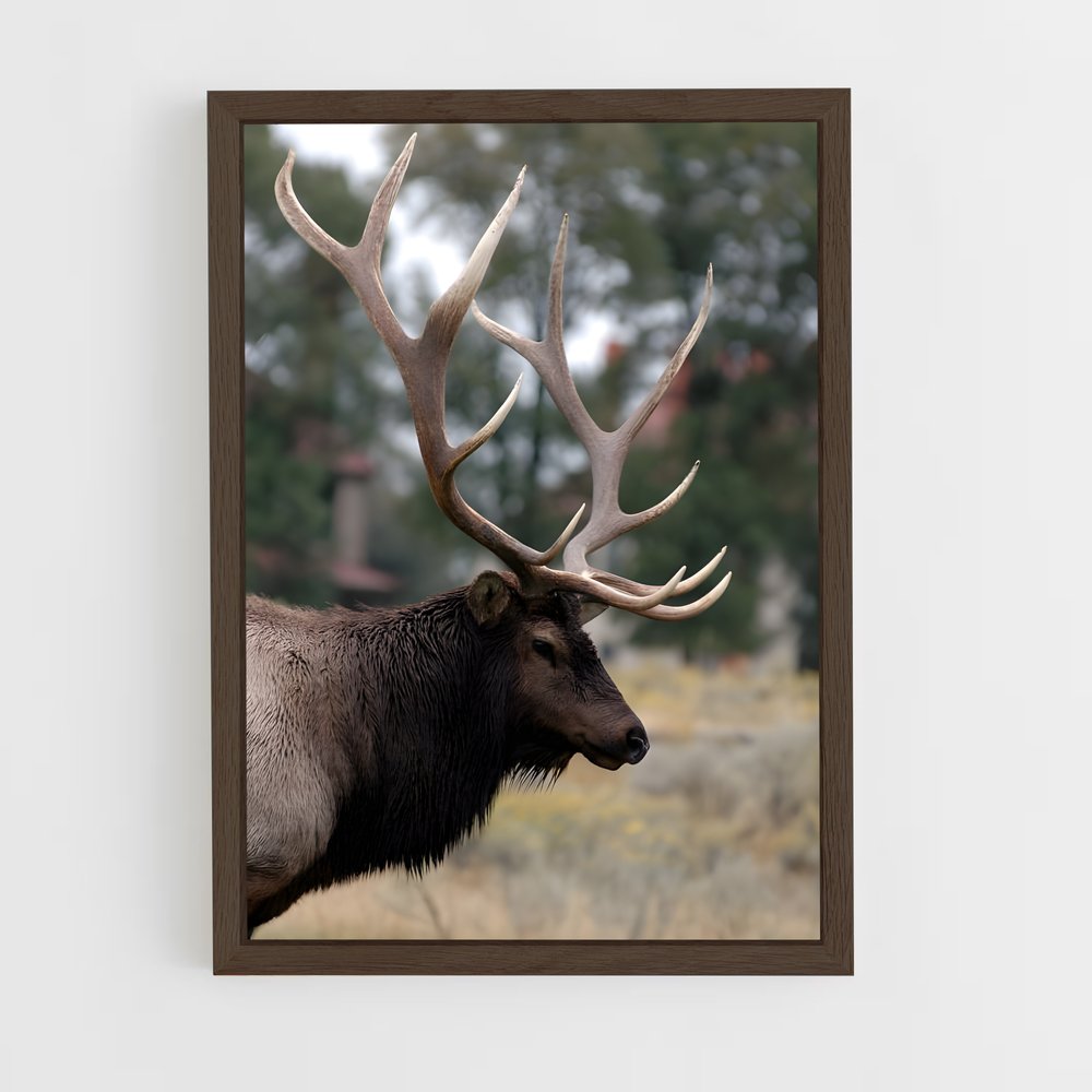 ap-elk-1 cadre Bois foncé
