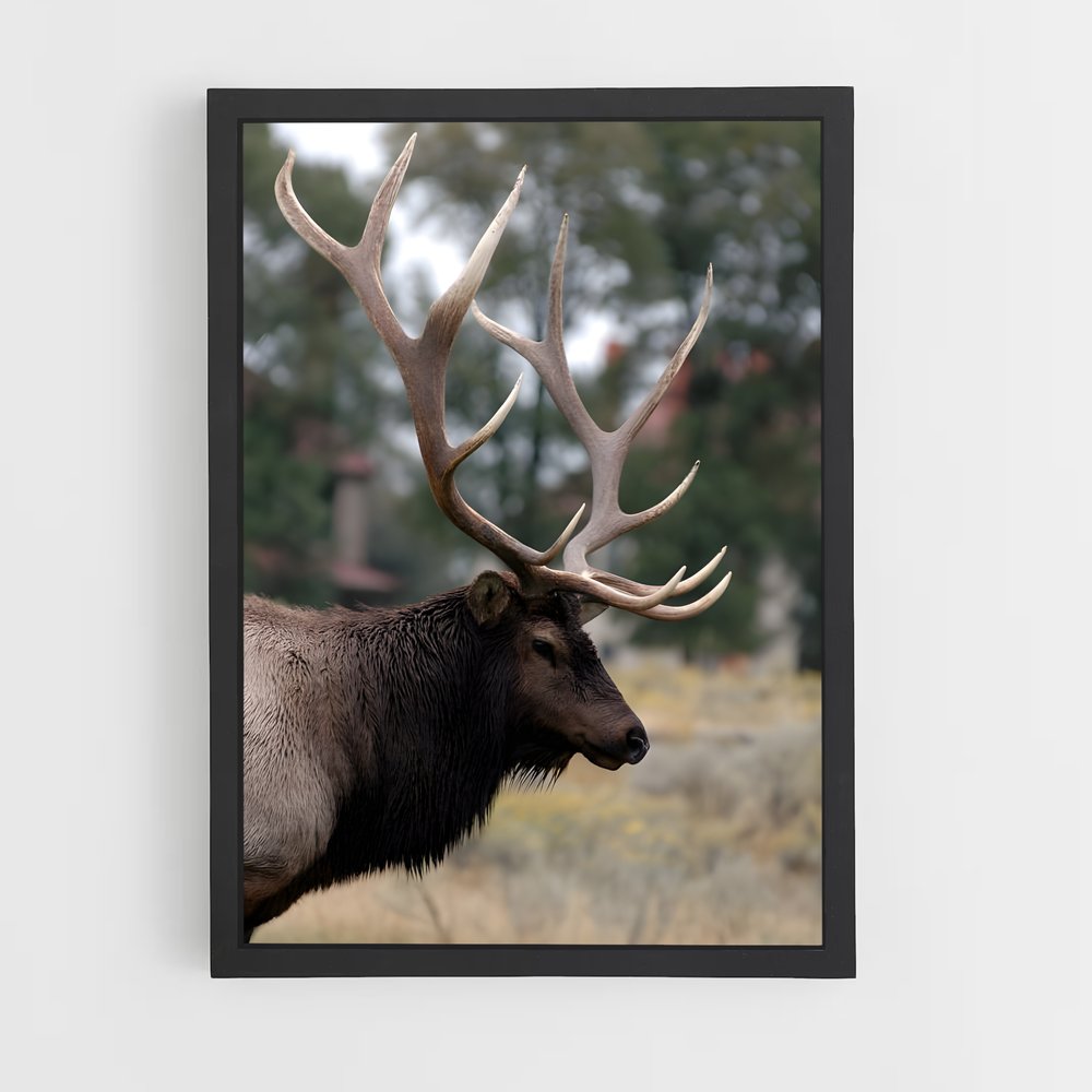 ap-elk-1 cadre Noir