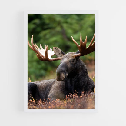 ap-elk-10 cadre Blanc