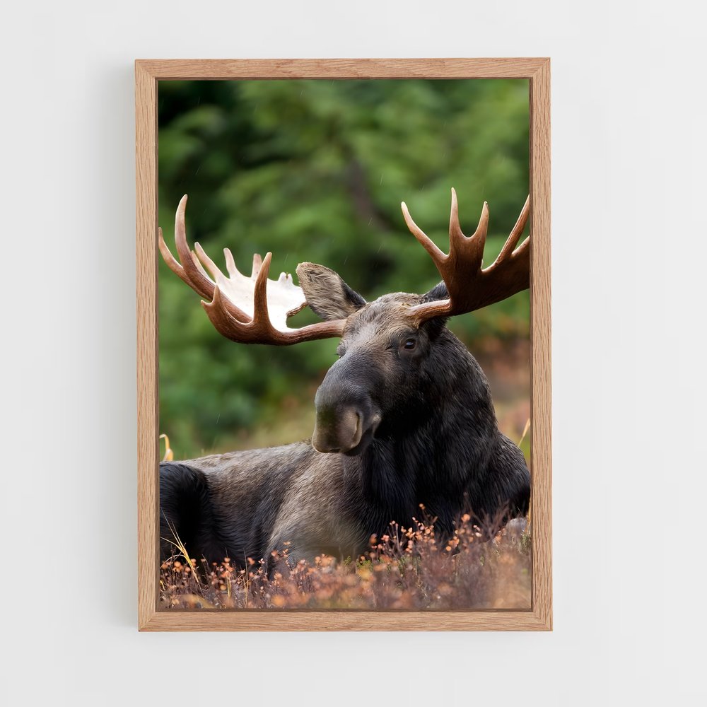 ap-elk-10 cadre Bois clair