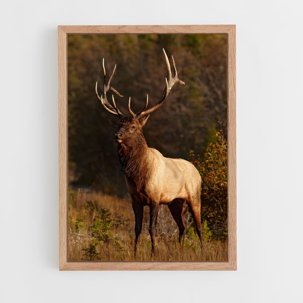 ap-elk-11 cadre Bois clair