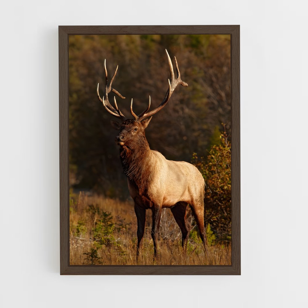 ap-elk-11 cadre Bois foncé