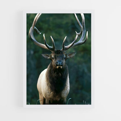 ap-elk-3 cadre Blanc