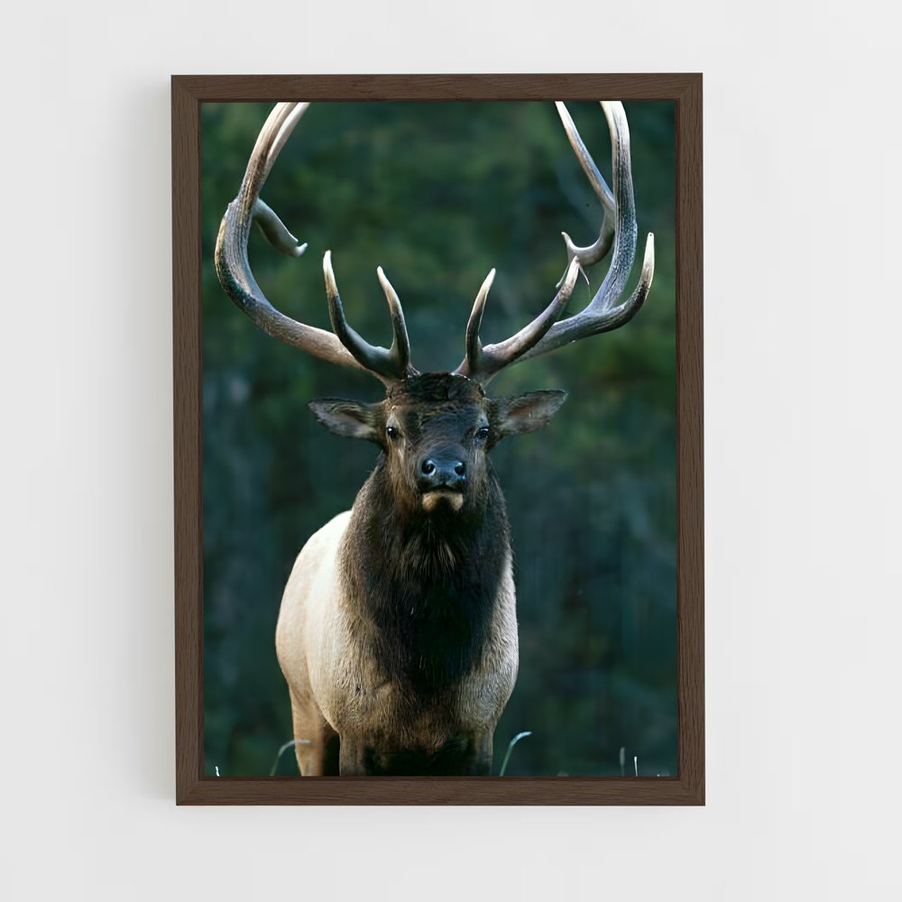 ap-elk-3 cadre Bois foncé