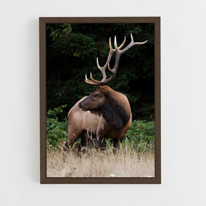 ap-elk-4 cadre Bois foncé
