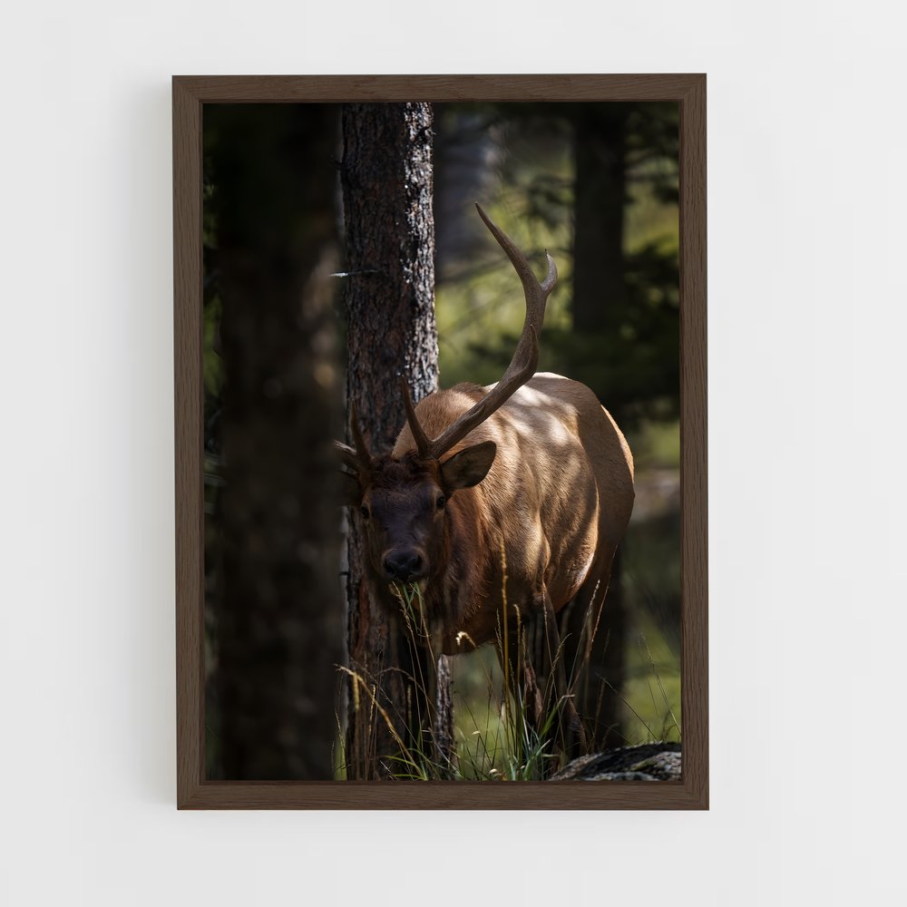 ap-elk-5 cadre Bois foncé