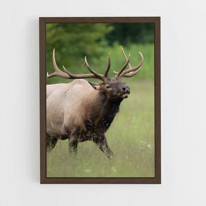 ap-elk-6 cadre Bois foncé