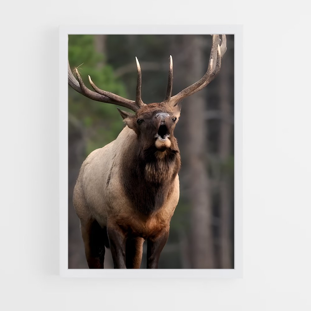 ap-elk-7 cadre Blanc