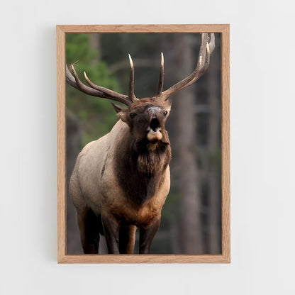 ap-elk-7 cadre Bois clair