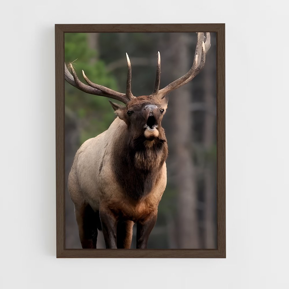 ap-elk-7 cadre Bois foncé