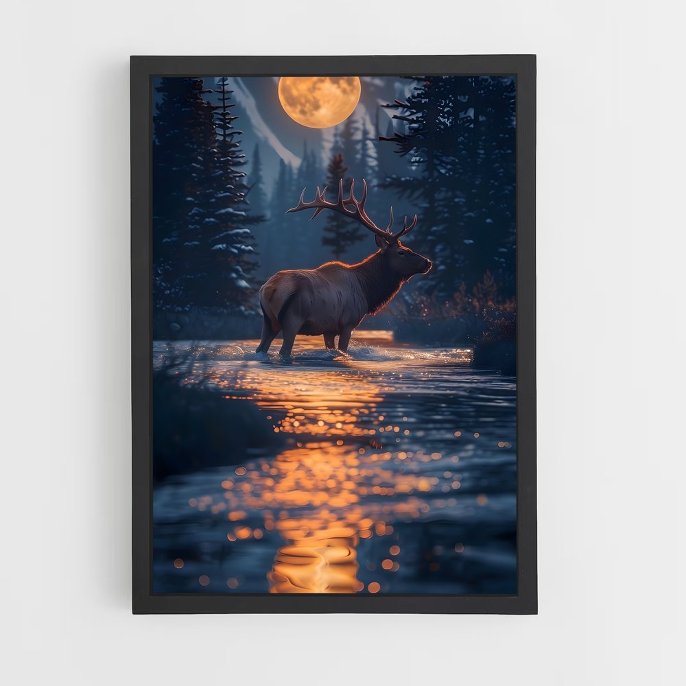 ap-elk-8 cadre Noir