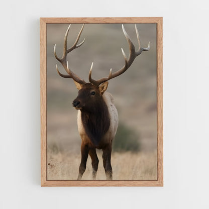 ap-elk-9 cadre Bois clair