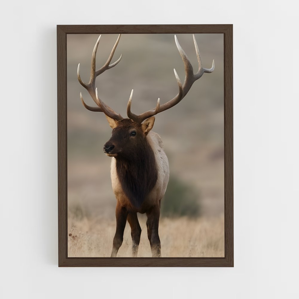 ap-elk-9 cadre Bois foncé