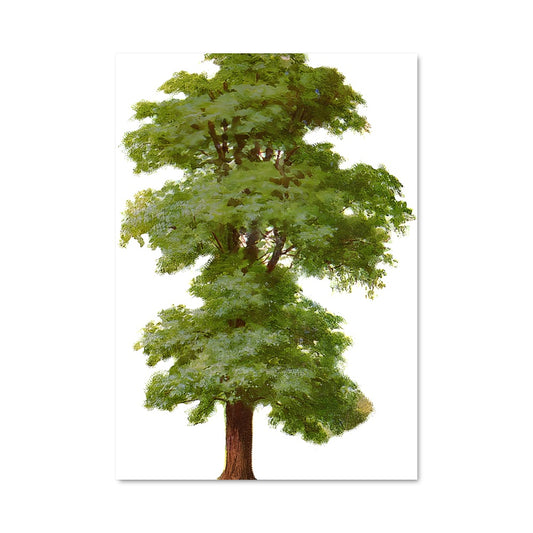 Poster Écorce de Vie