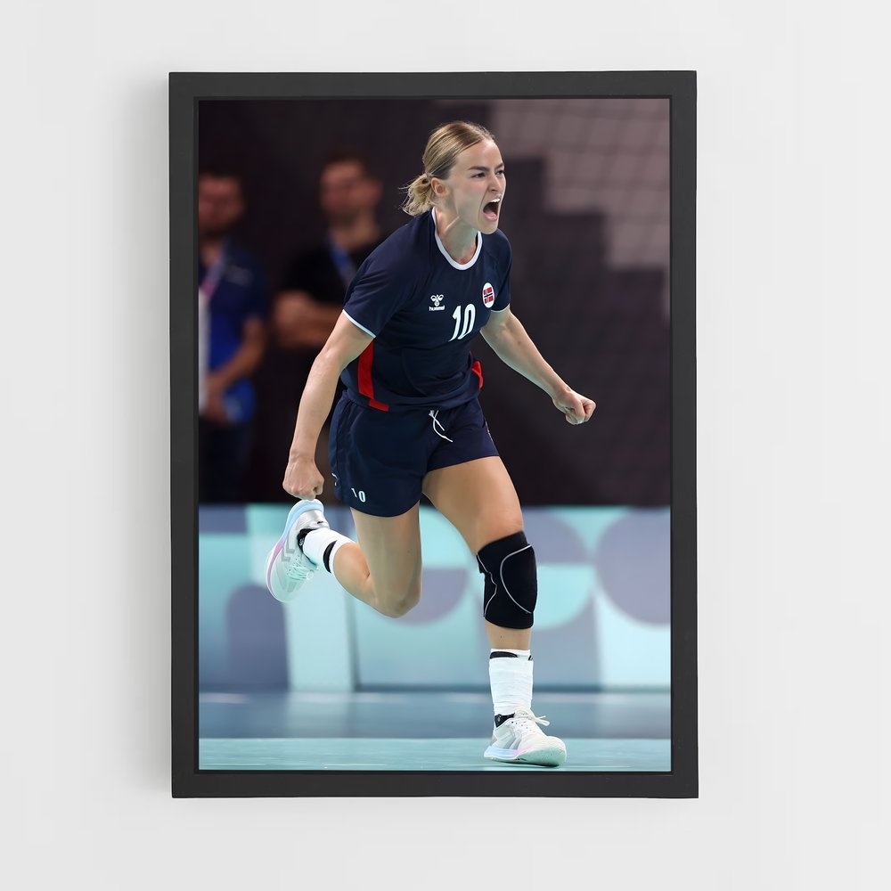 ap-elverum handball norway-1 cadre Noir