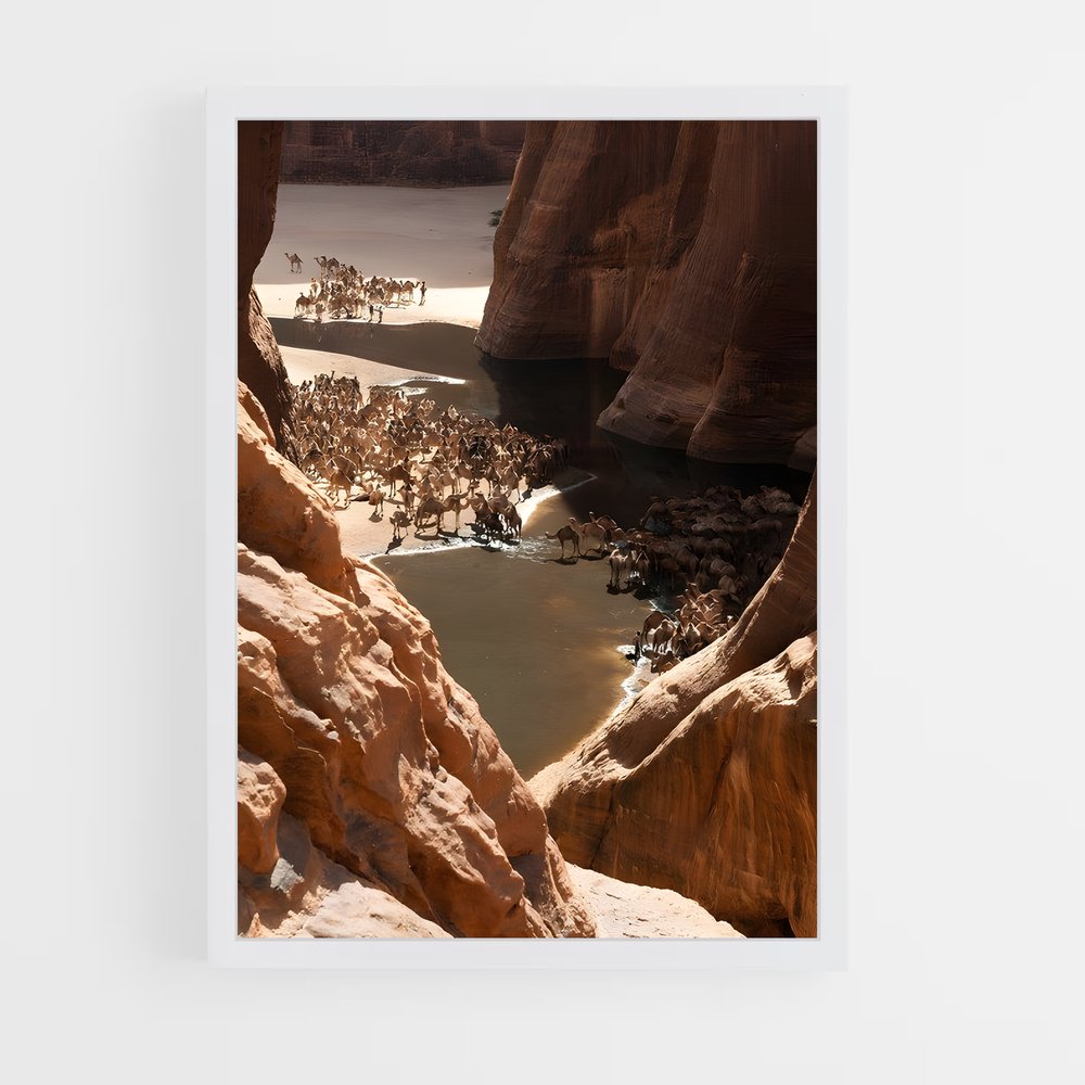 ap-ennedi plateau-1 cadre Blanc