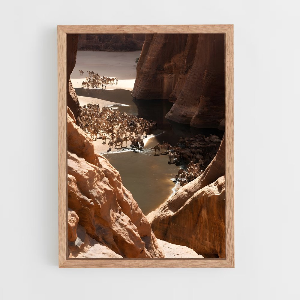 ap-ennedi plateau-1 cadre Bois clair