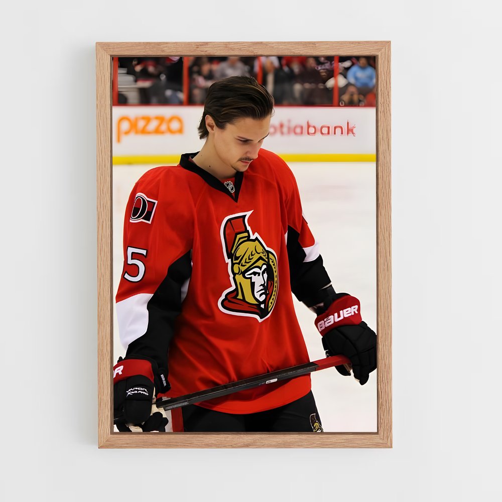 ap-erik karlsson-2 cadre Bois clair