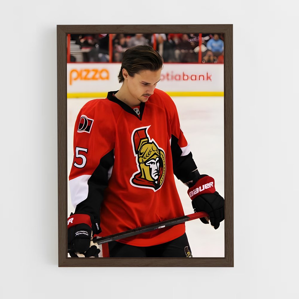 ap-erik karlsson-2 cadre Bois foncé
